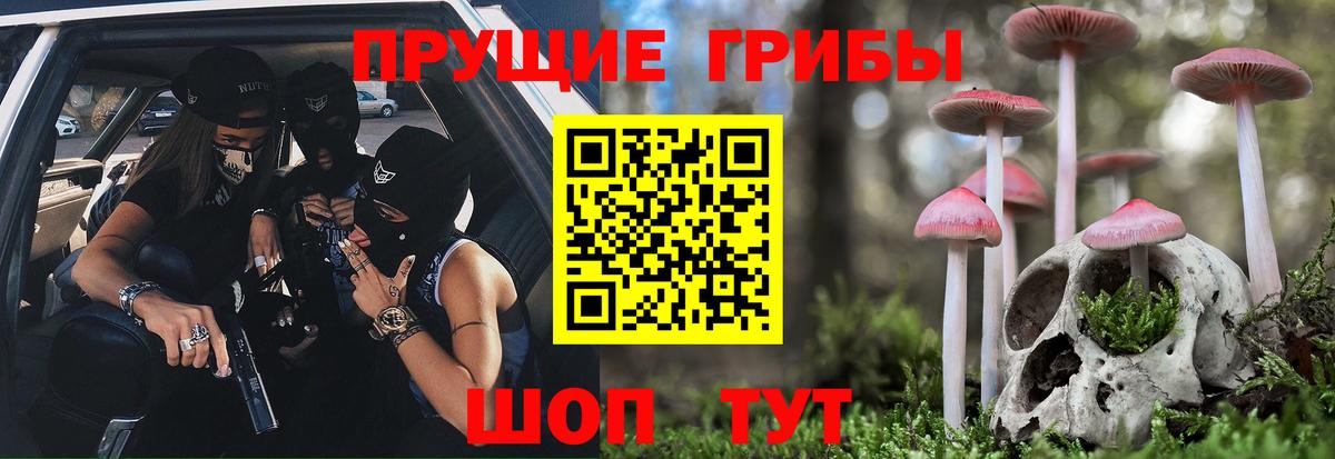 Галлюциногенные грибы Psilocybe  Вход с VPN  Галлюциногенные грибы MAGIC MUSHROOMS  Орск 